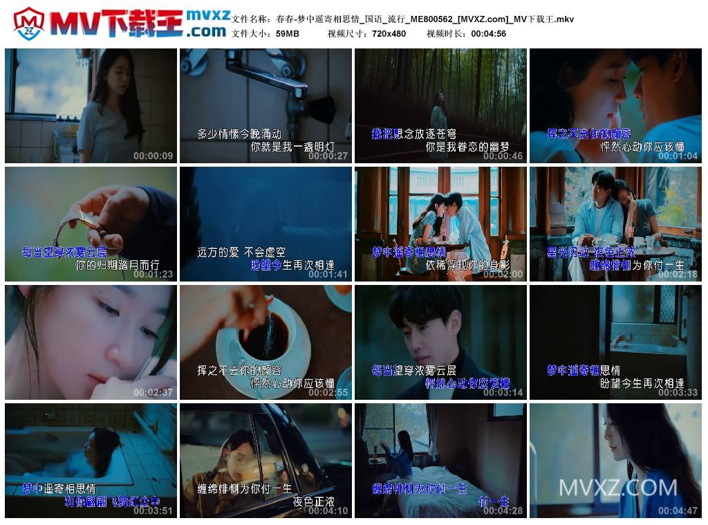 春春-梦中遥寄相思情_国语_流行_ME800562